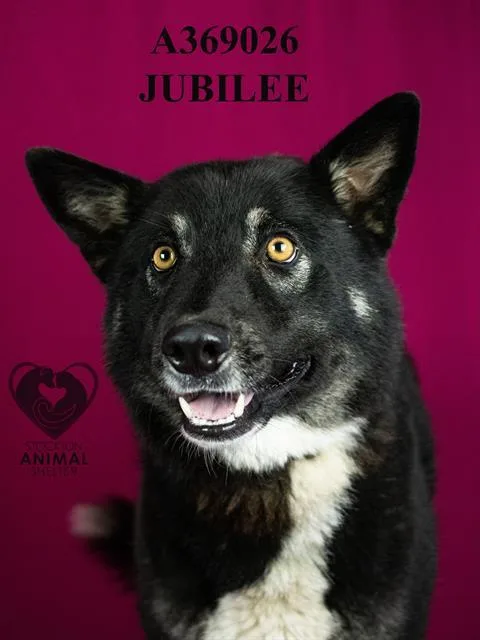 Jubilee photo 1