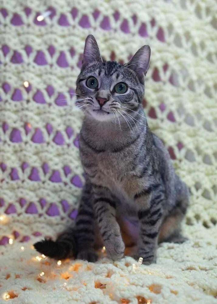 Charley For Reelz thumbnail 2