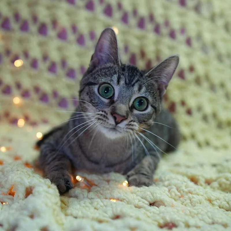 Charley For Reelz thumbnail 3