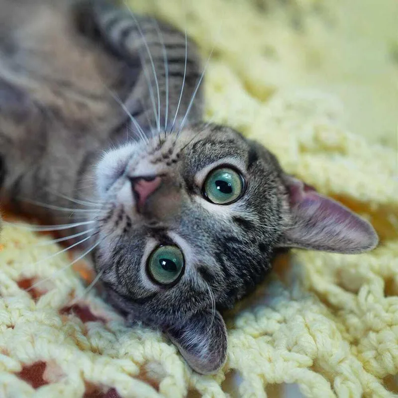 Charley For Reelz thumbnail 4