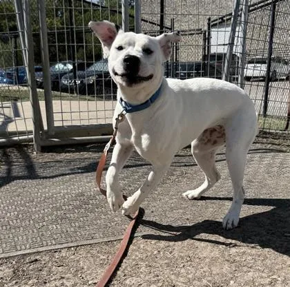 Felicity thumbnail 2