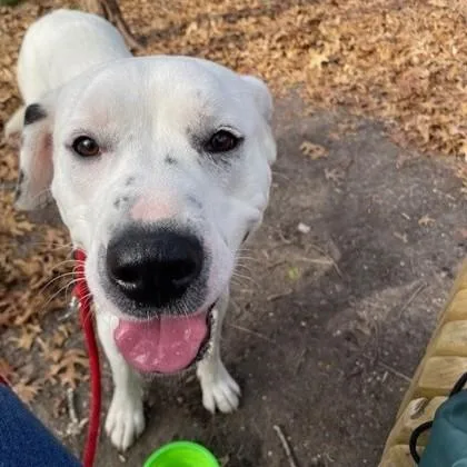 Felicity thumbnail 3