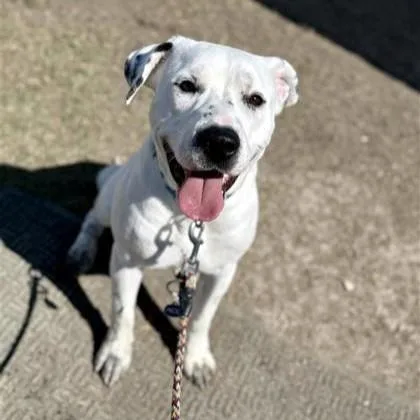 Felicity thumbnail 4