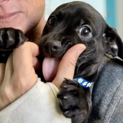 Charming thumbnail 2