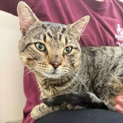 Steve Buscemi thumbnail 2