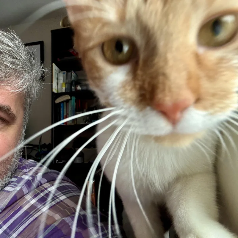 Twinkle Toes thumbnail 2