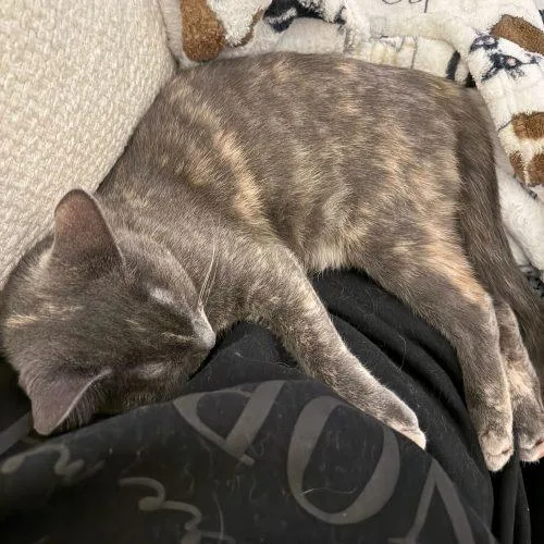 Janet Wood thumbnail 3