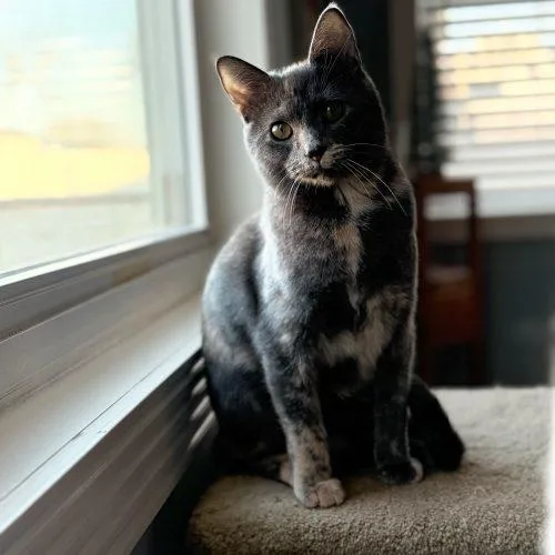 Janet Wood thumbnail 5