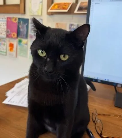 Elroy Is A Big thumbnail 3
