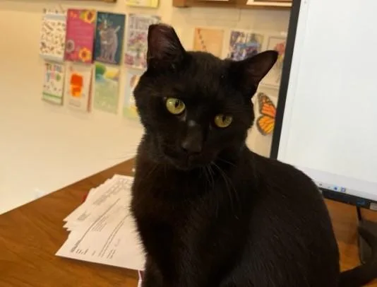 Elroy Is A Big thumbnail 4