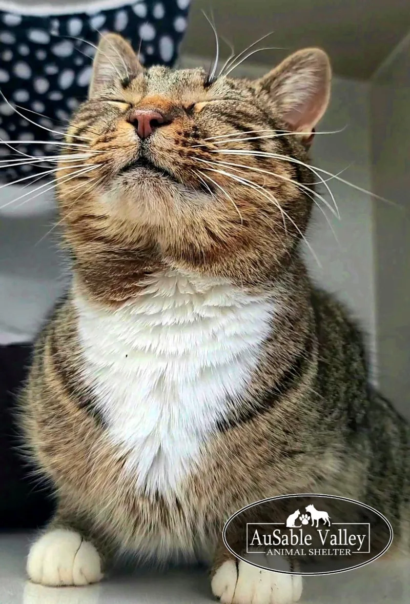 Chuckles thumbnail 4