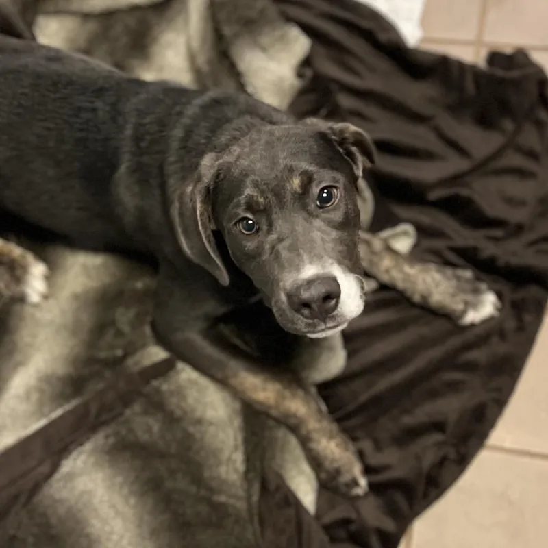 Christian thumbnail 2