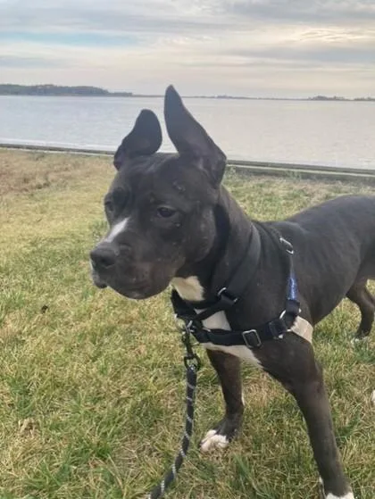 Kismet Fka Tana thumbnail 2