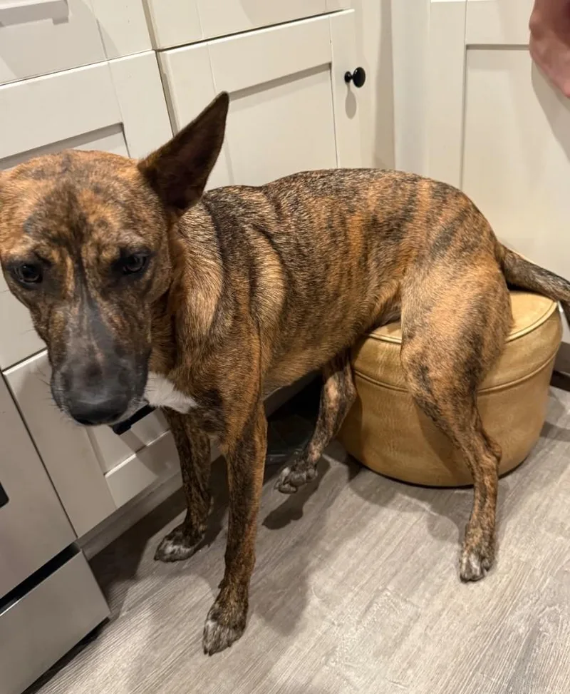 Faith Loves Snuggles thumbnail 3