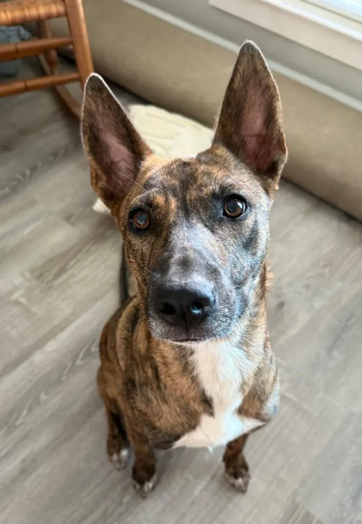 Faith Loves Snuggles