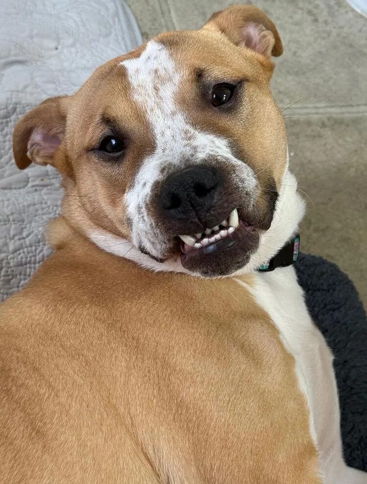 Maggie May thumbnail 4