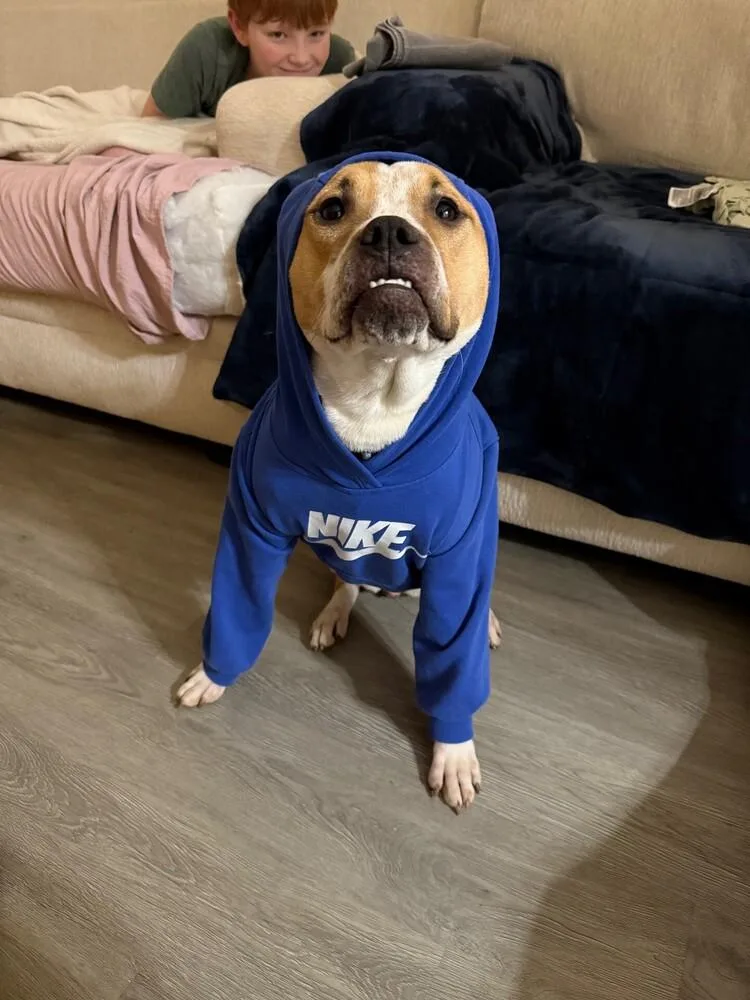 Maggie May thumbnail 5