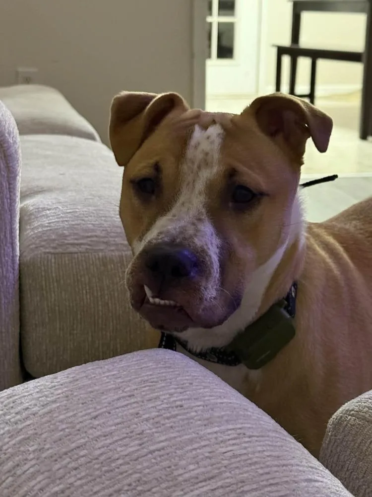 Maggie May thumbnail 6