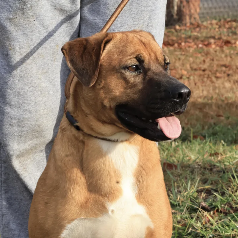 Gilgamesh thumbnail 2