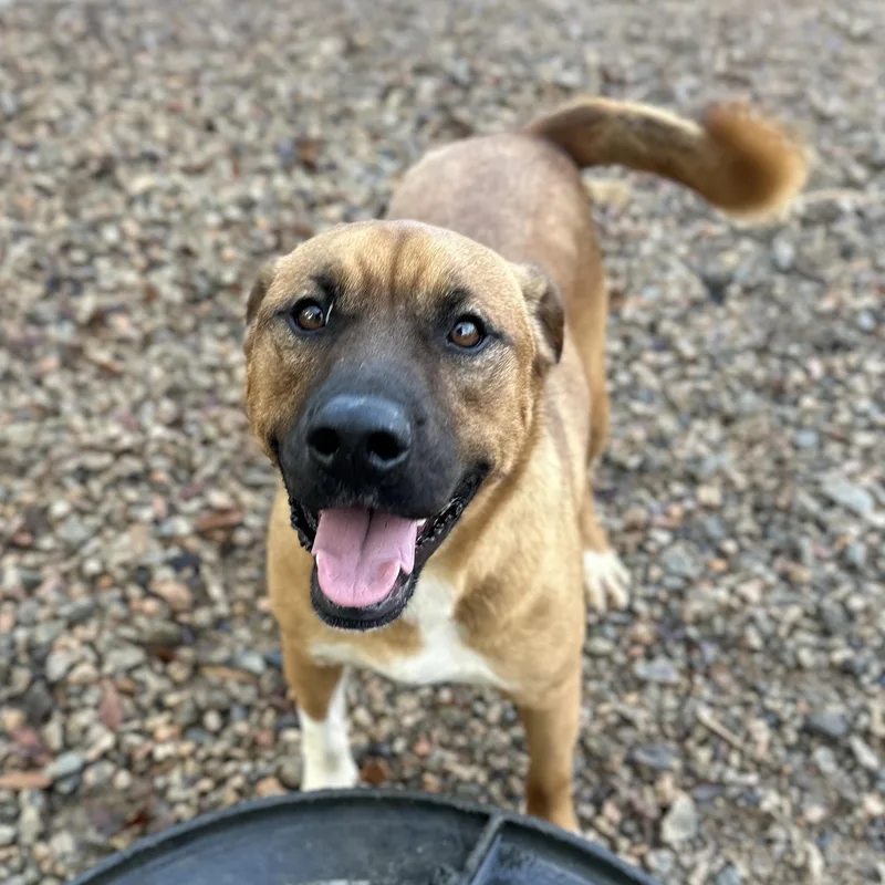 Gilgamesh thumbnail 4