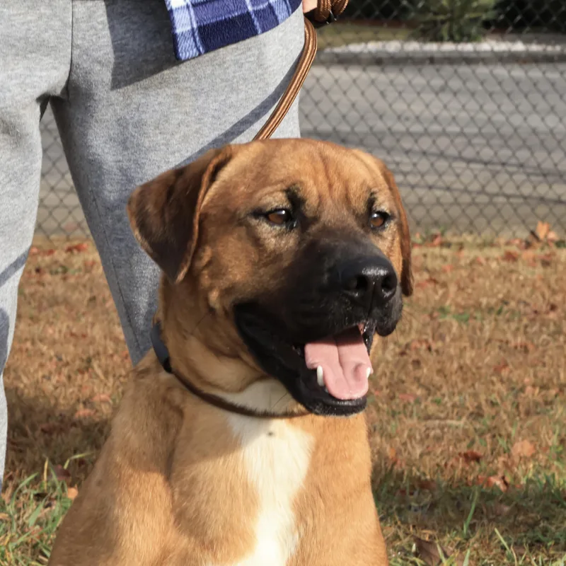 Gilgamesh thumbnail 5