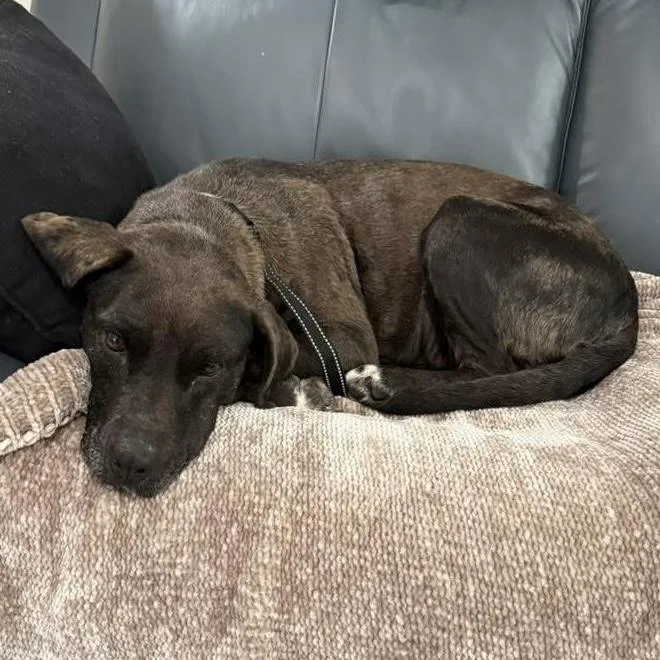 Midnight thumbnail 2