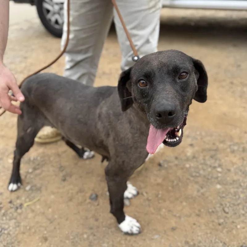 Midnight thumbnail 3