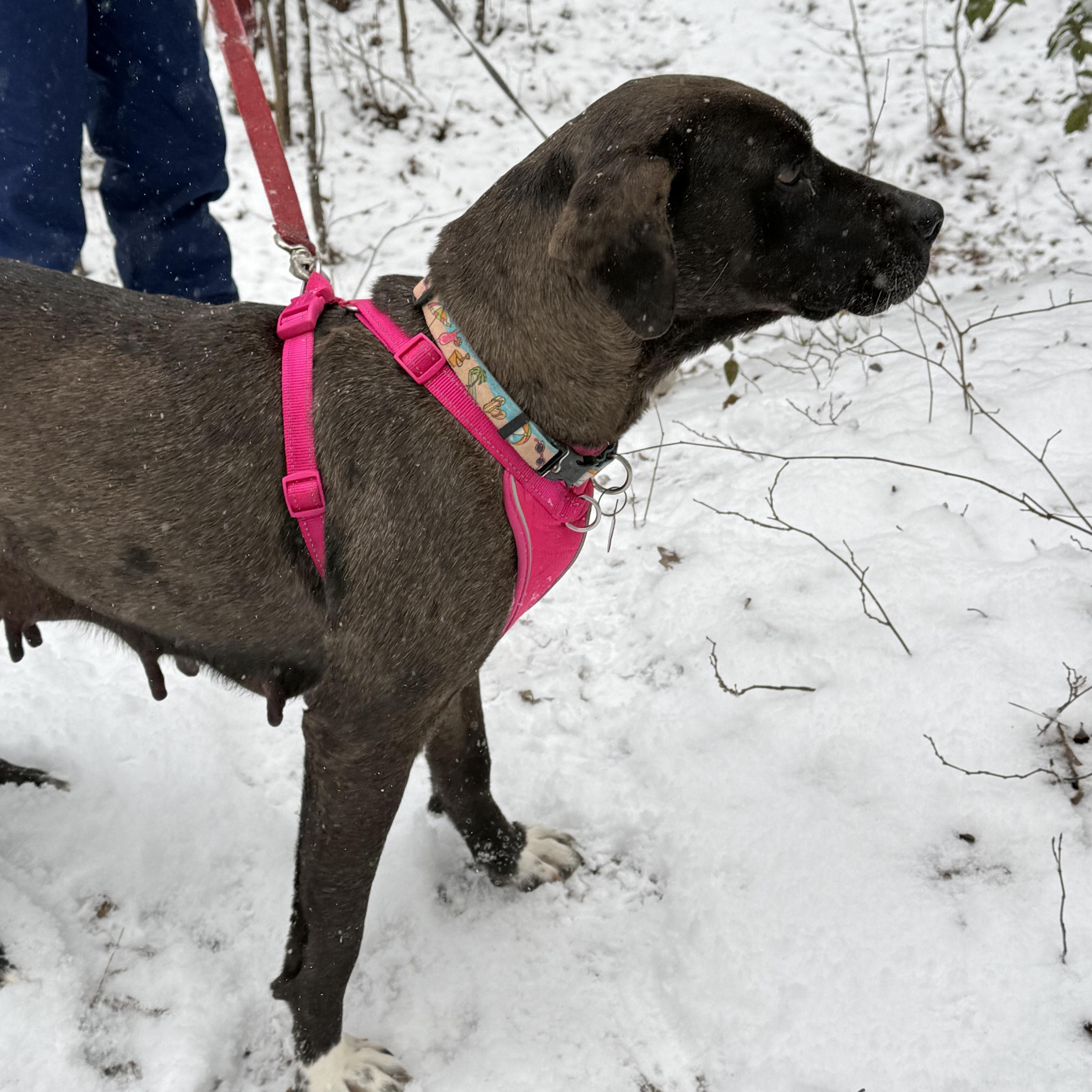 Midnight thumbnail 6