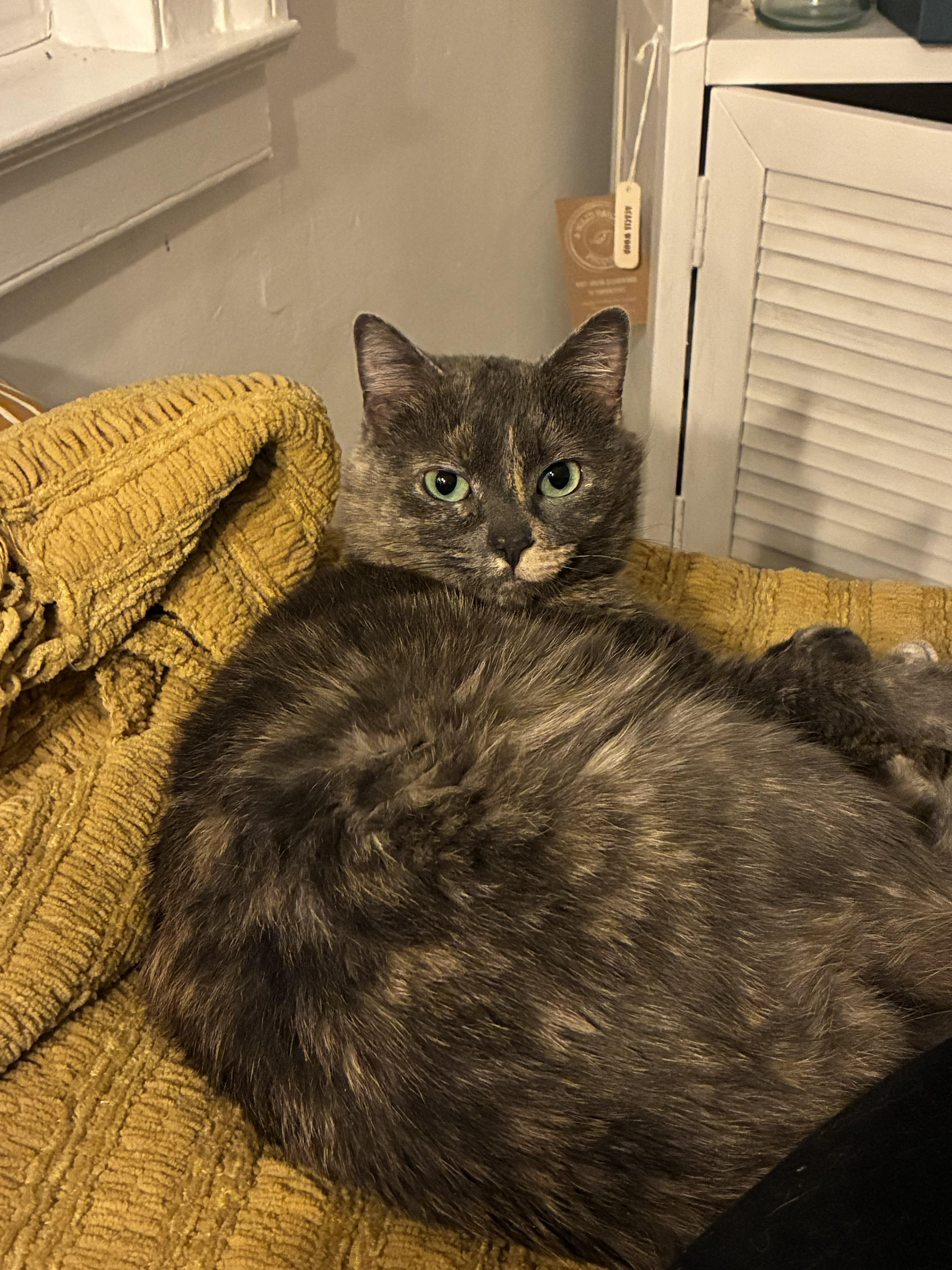 Florence thumbnail 2