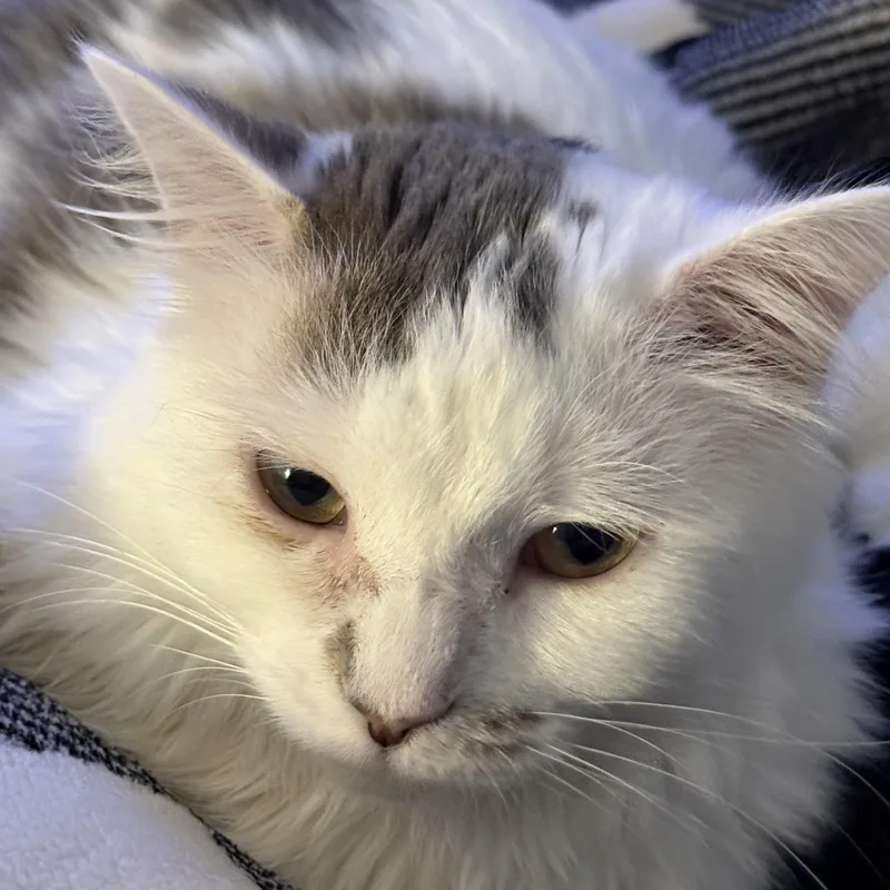 Caroline thumbnail 2