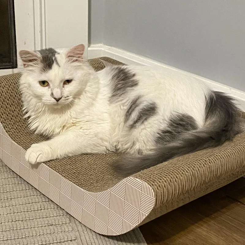 Caroline thumbnail 3