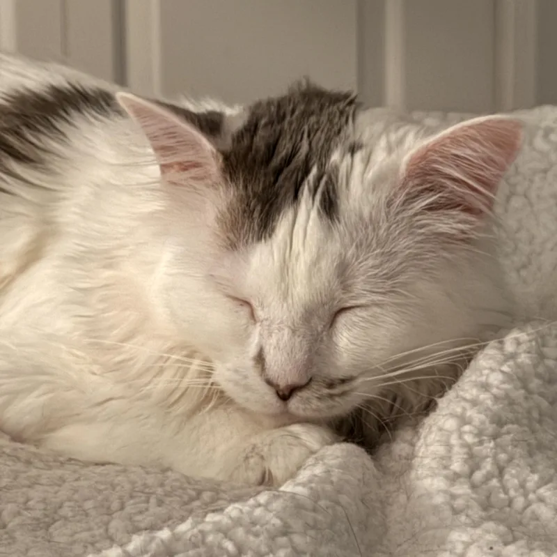 Caroline thumbnail 4