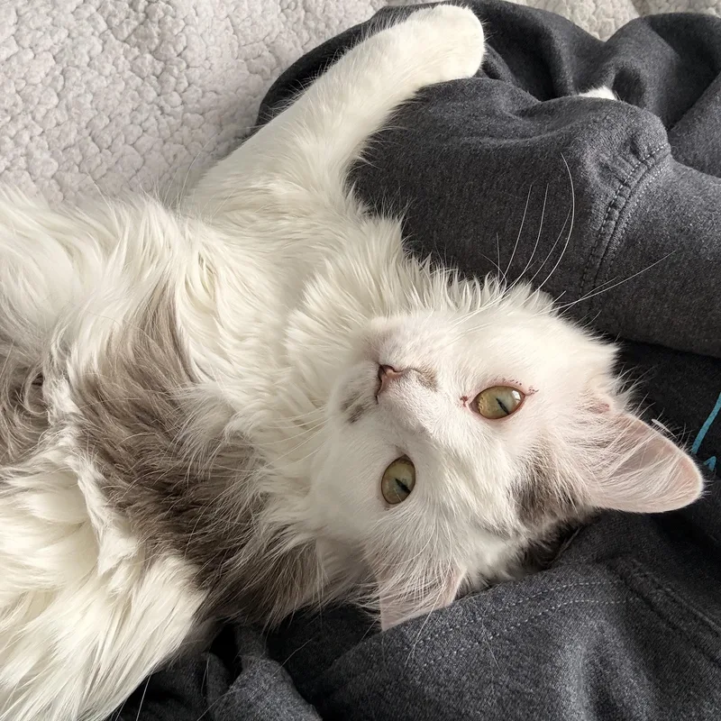 Caroline thumbnail 5