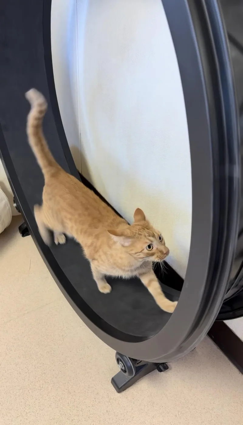 Bradford thumbnail 2