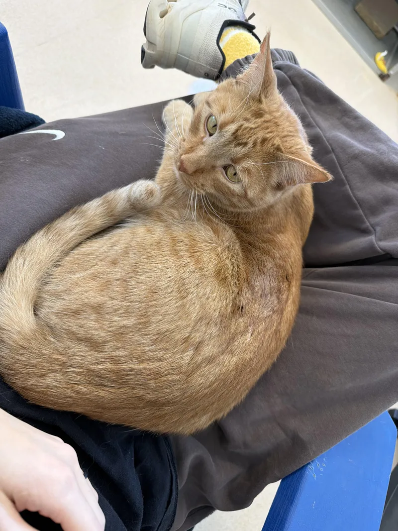 Bradford thumbnail 3