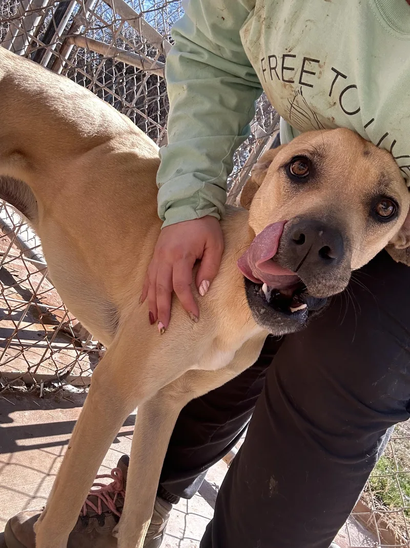 Doc Holliday thumbnail 2