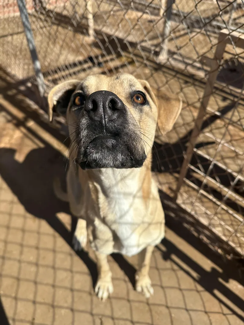 Doc Holliday thumbnail 3