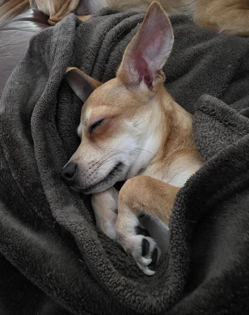 Benjamin thumbnail 3