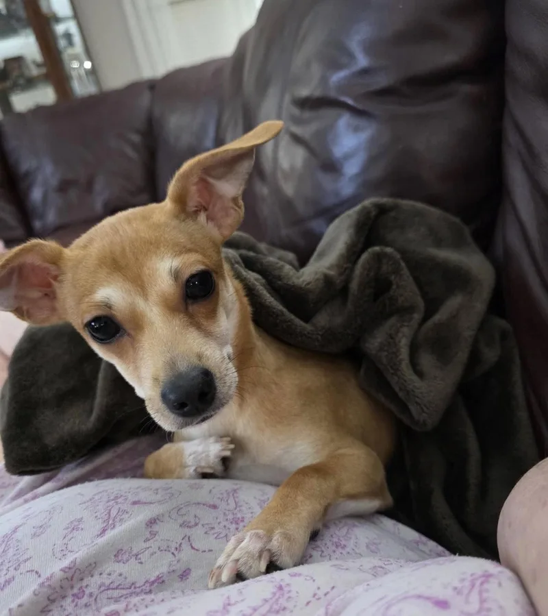 Benjamin thumbnail 4