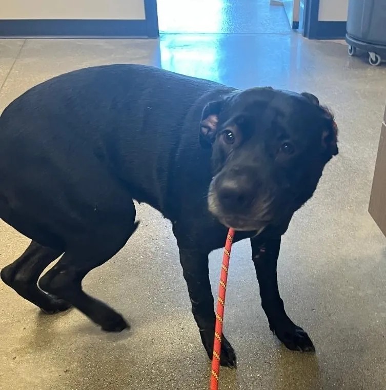 Sunshine thumbnail 2