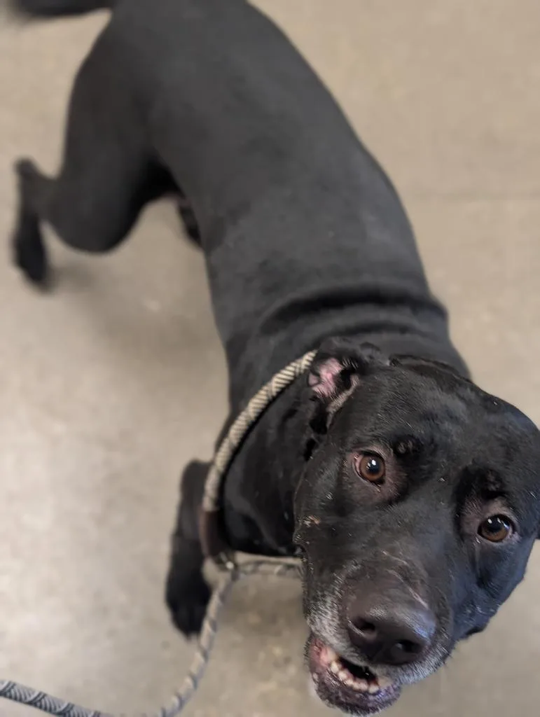 Sunshine thumbnail 3