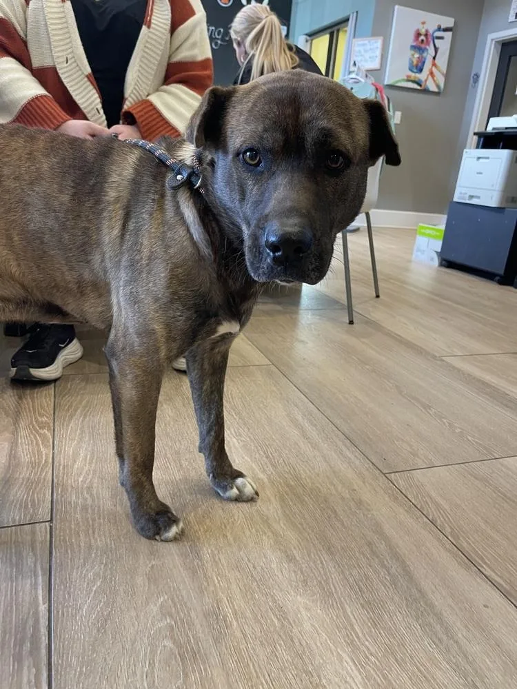 Sullivan thumbnail 2