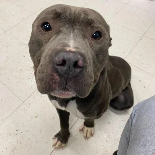 Missed Opportunity thumbnail 2