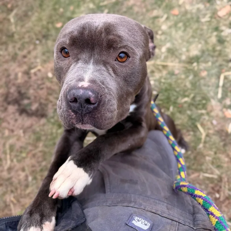 Missed Opportunity thumbnail 4