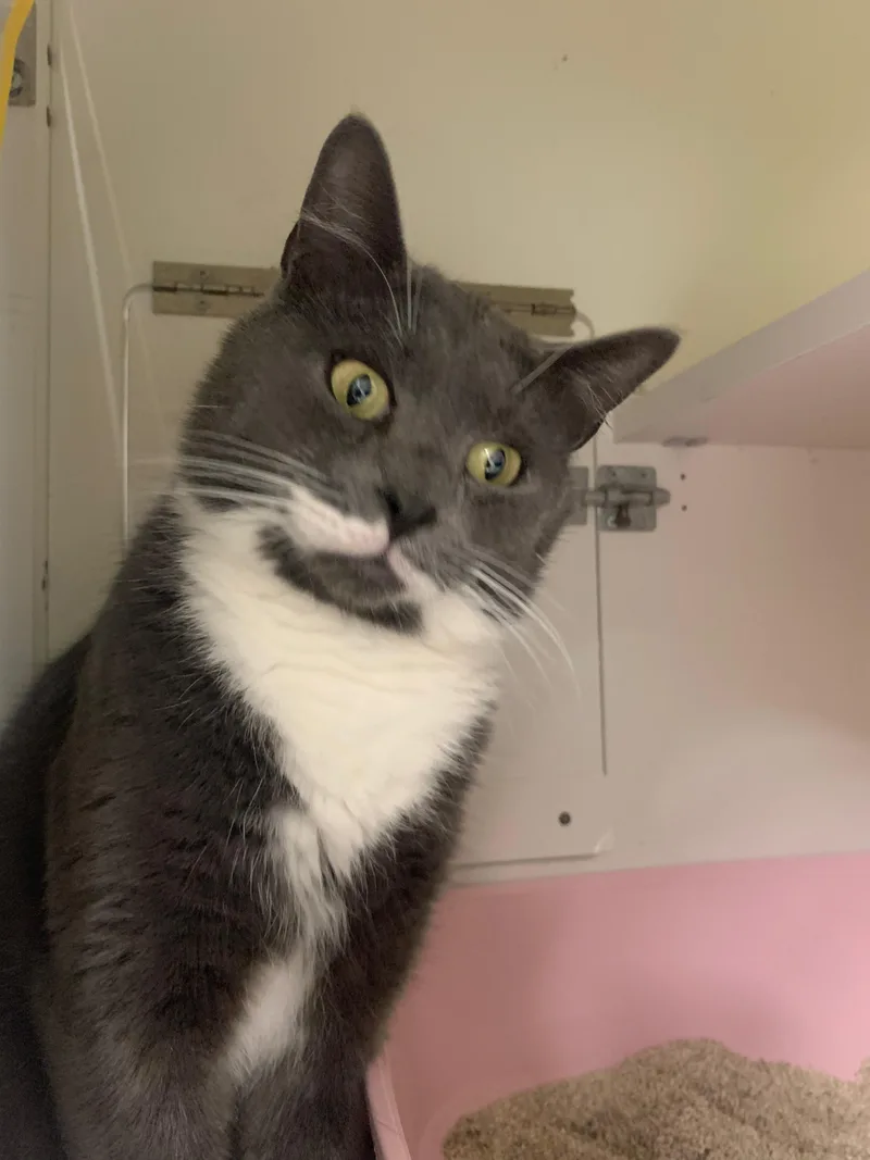 Mystic & Timmy thumbnail 3