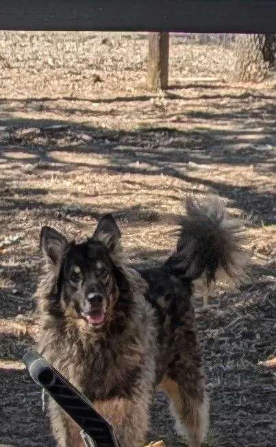 Tennessee thumbnail 2