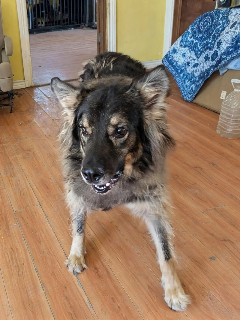 Tennessee thumbnail 3