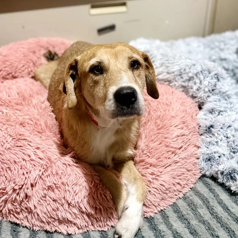 Millicent thumbnail 2