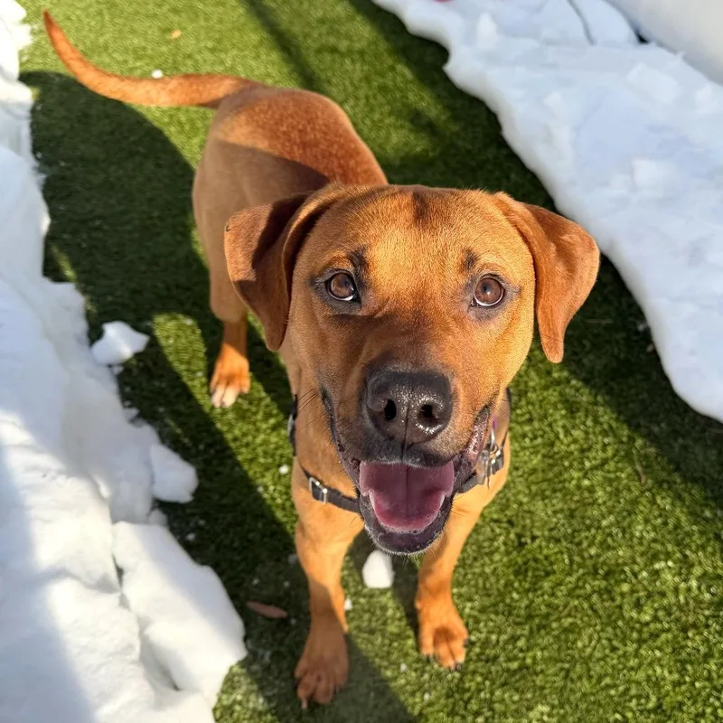 Buddy Guy thumbnail 3