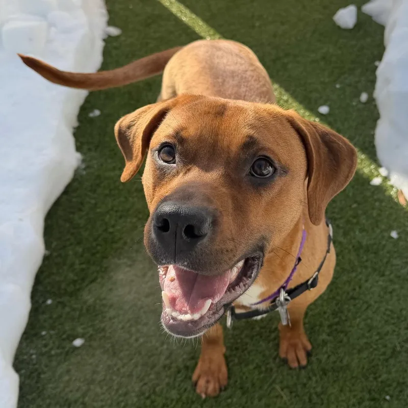 Buddy Guy thumbnail 4